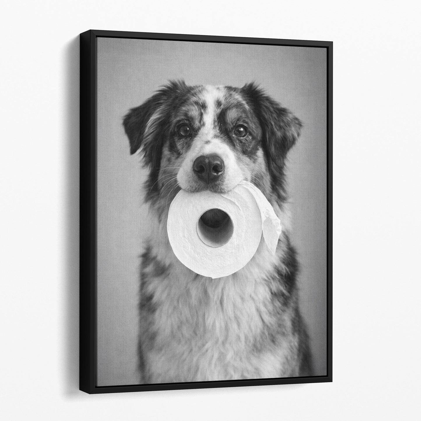 Australian Shepherd Dog Toilet Paper