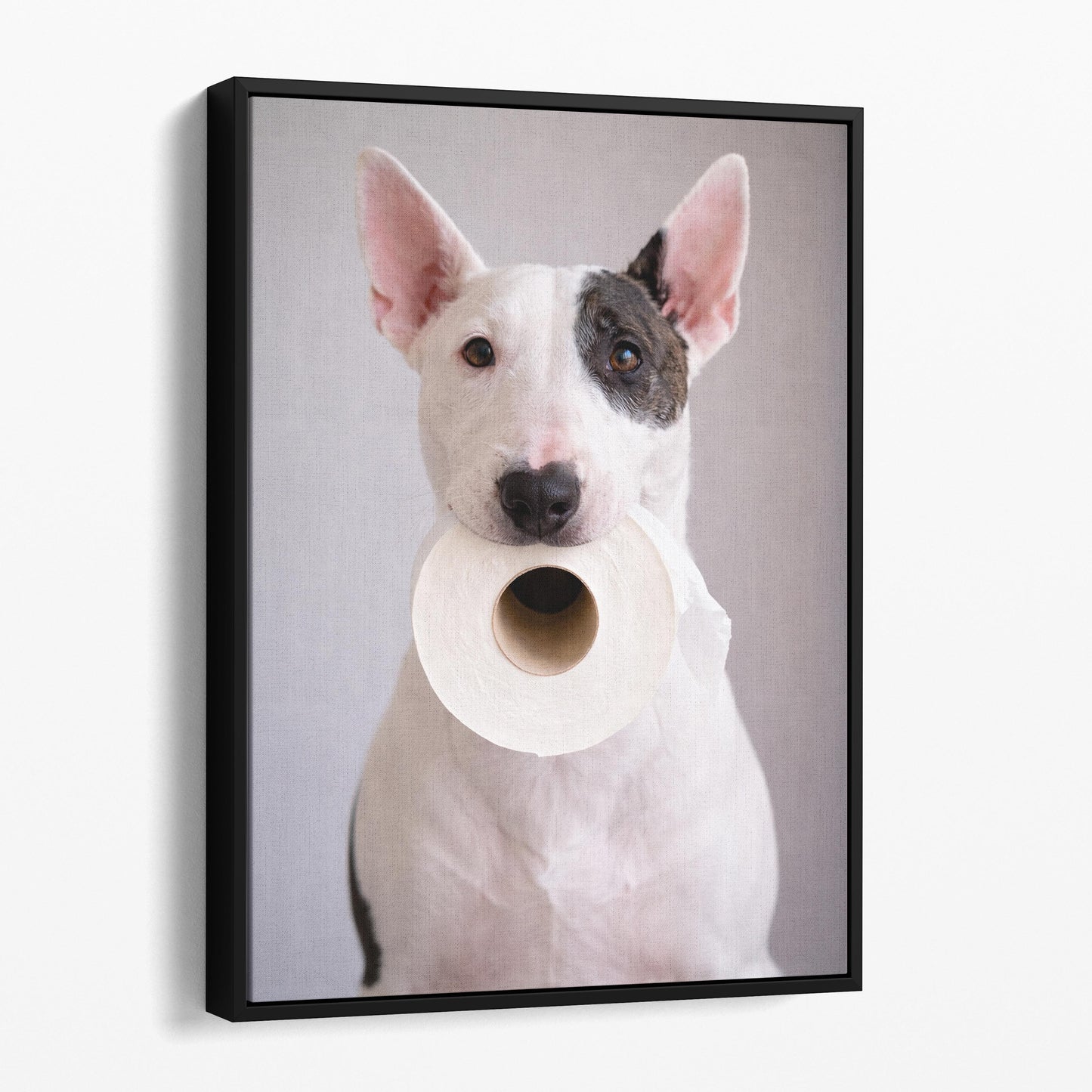 Bull Terrier Dog Toilet Paper