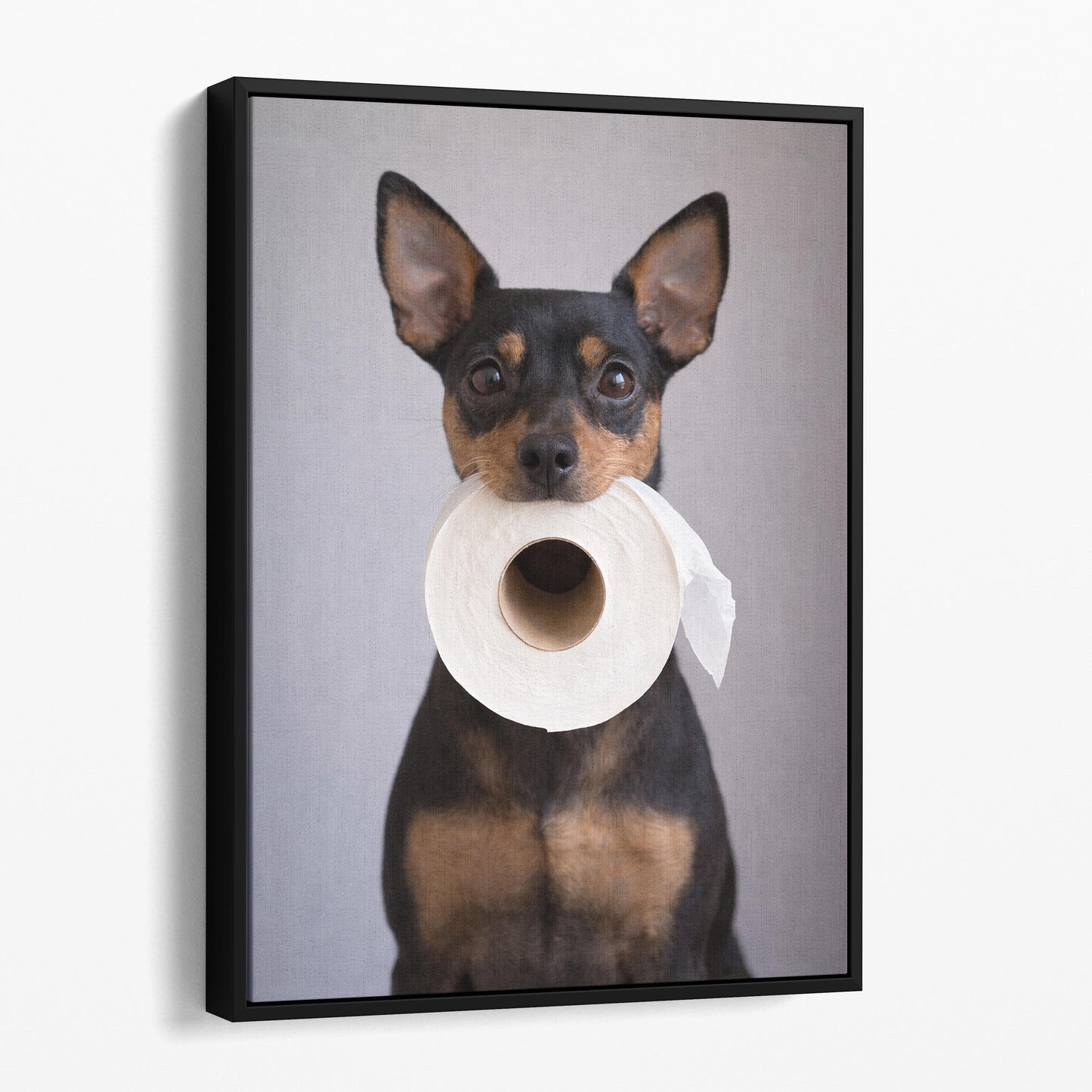 Miniature Pinscher Dog Toilet Paper