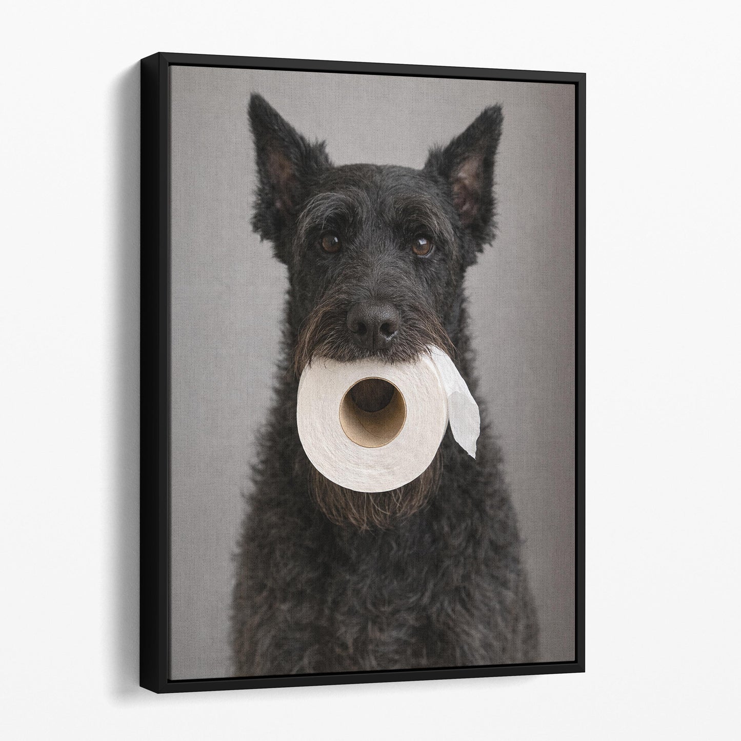 Giant Schnauzer Dog Toilet Paper