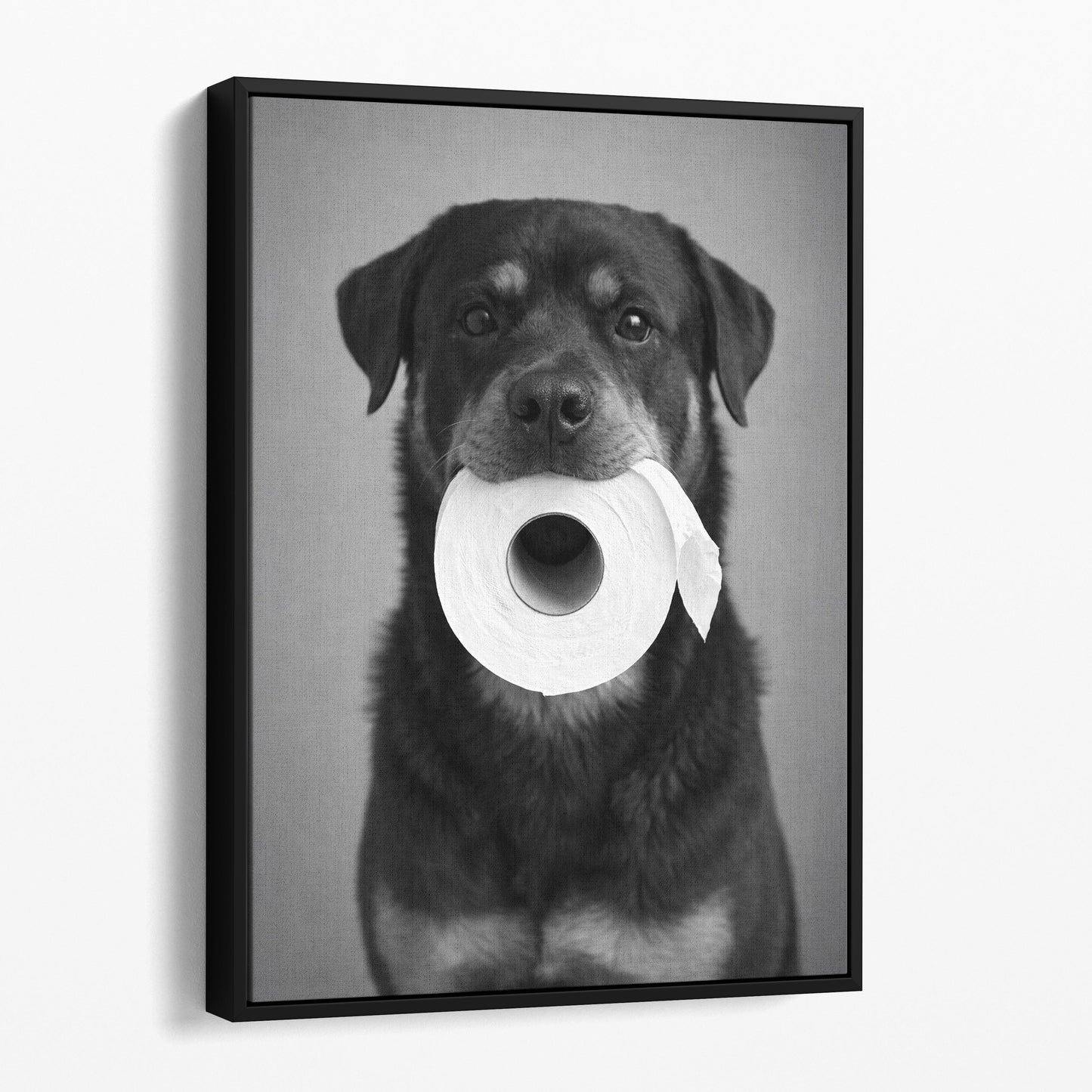 Rottweiler Dog Toilet Paper
