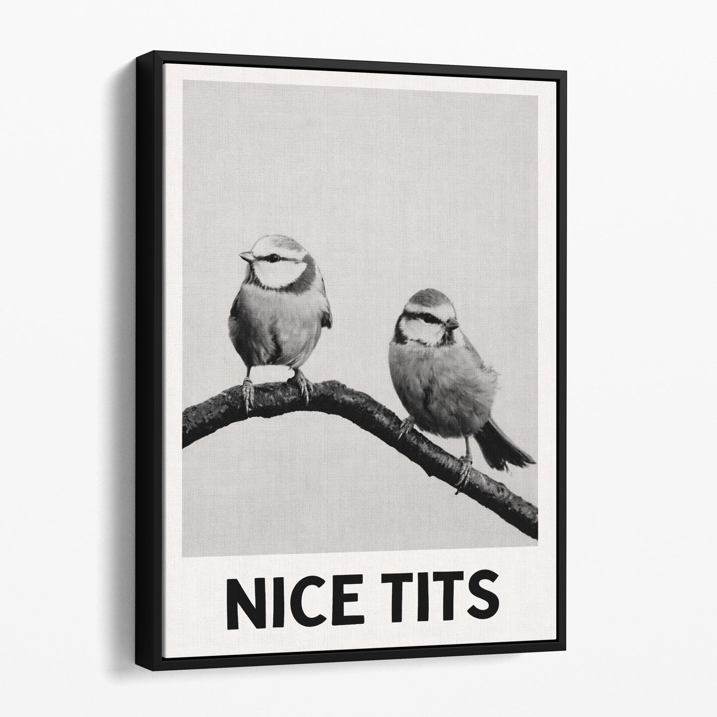Nice Tits - Birds Bathroom Sign