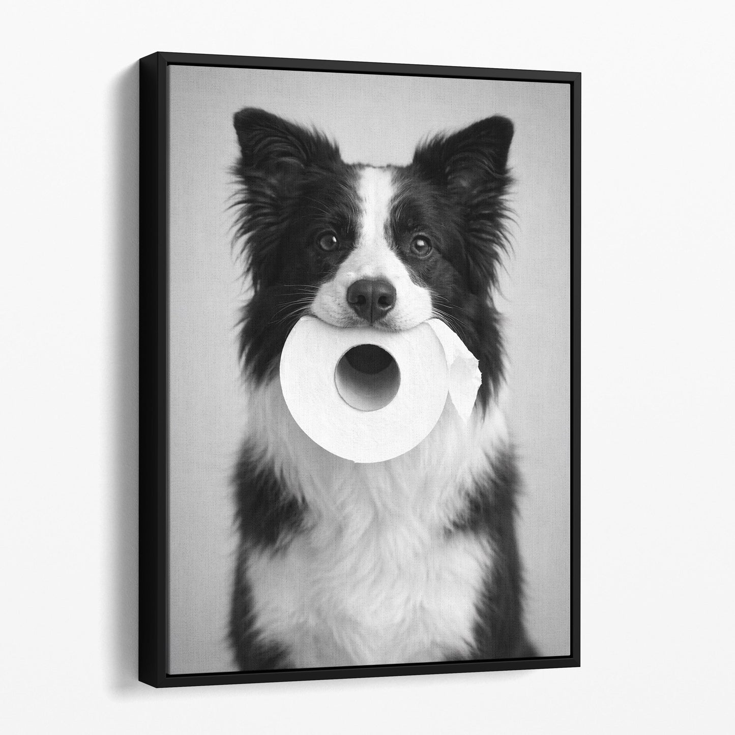 Border Collie Dog Toilet Paper