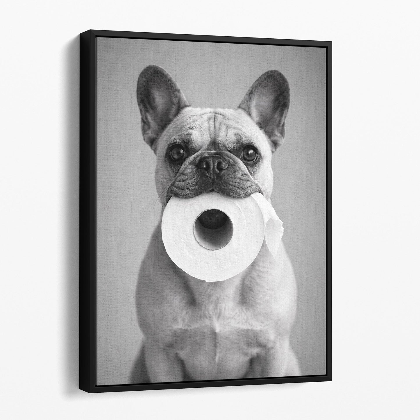 French Bulldog Toilet Paper
