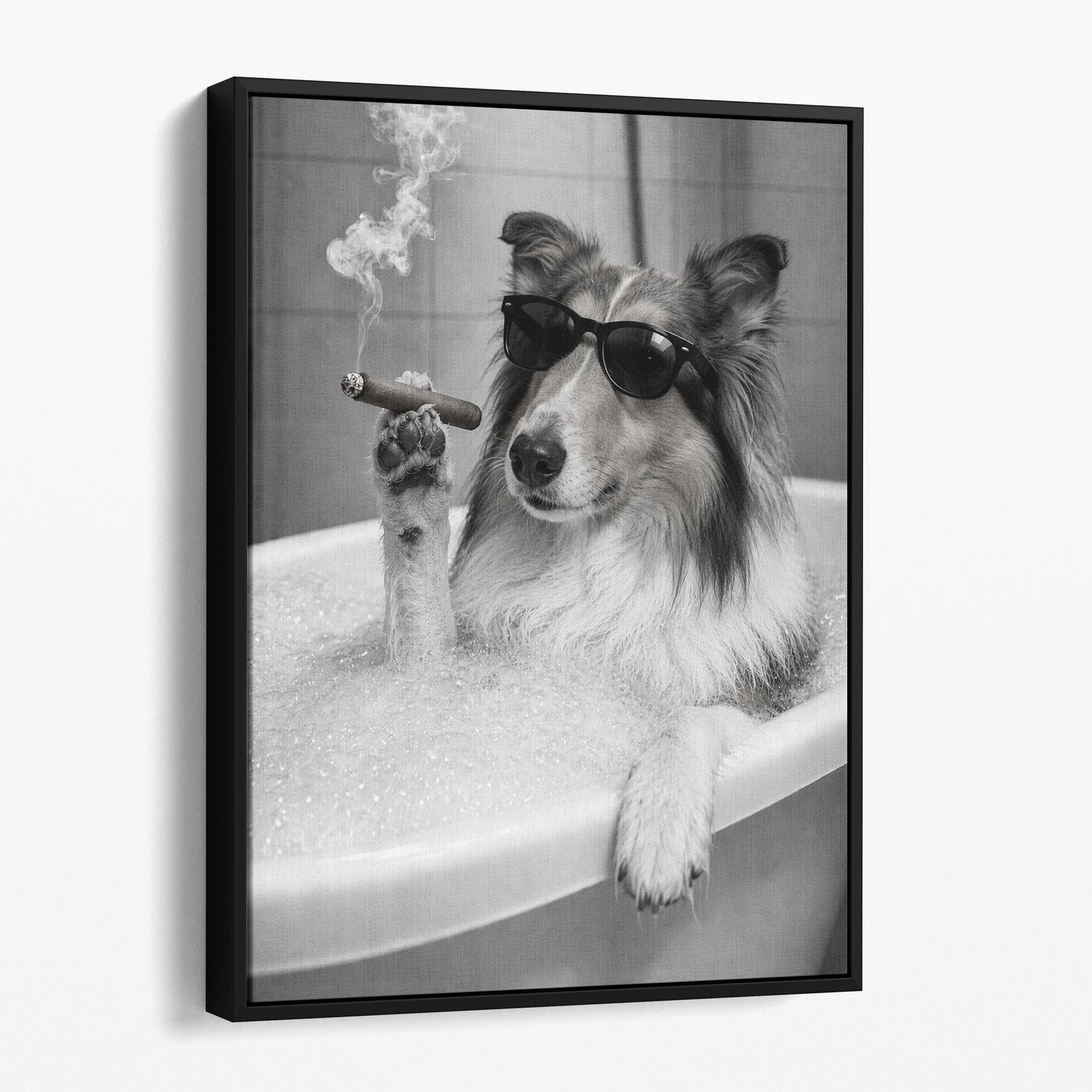 Collie Dog Bathtub Cigar