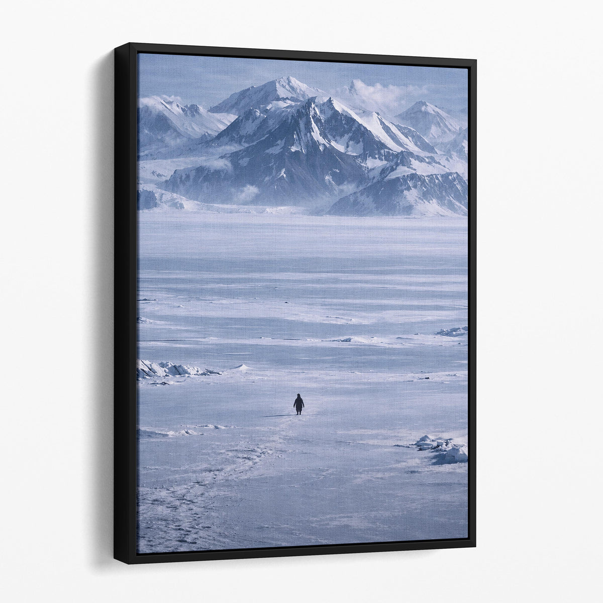 The Lone Penguin