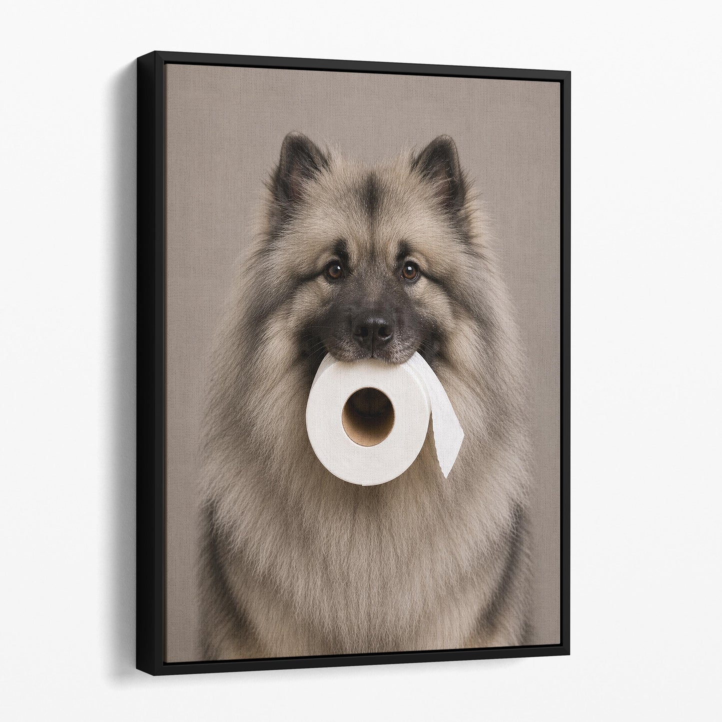 Keeshond Dog Toilet Paper