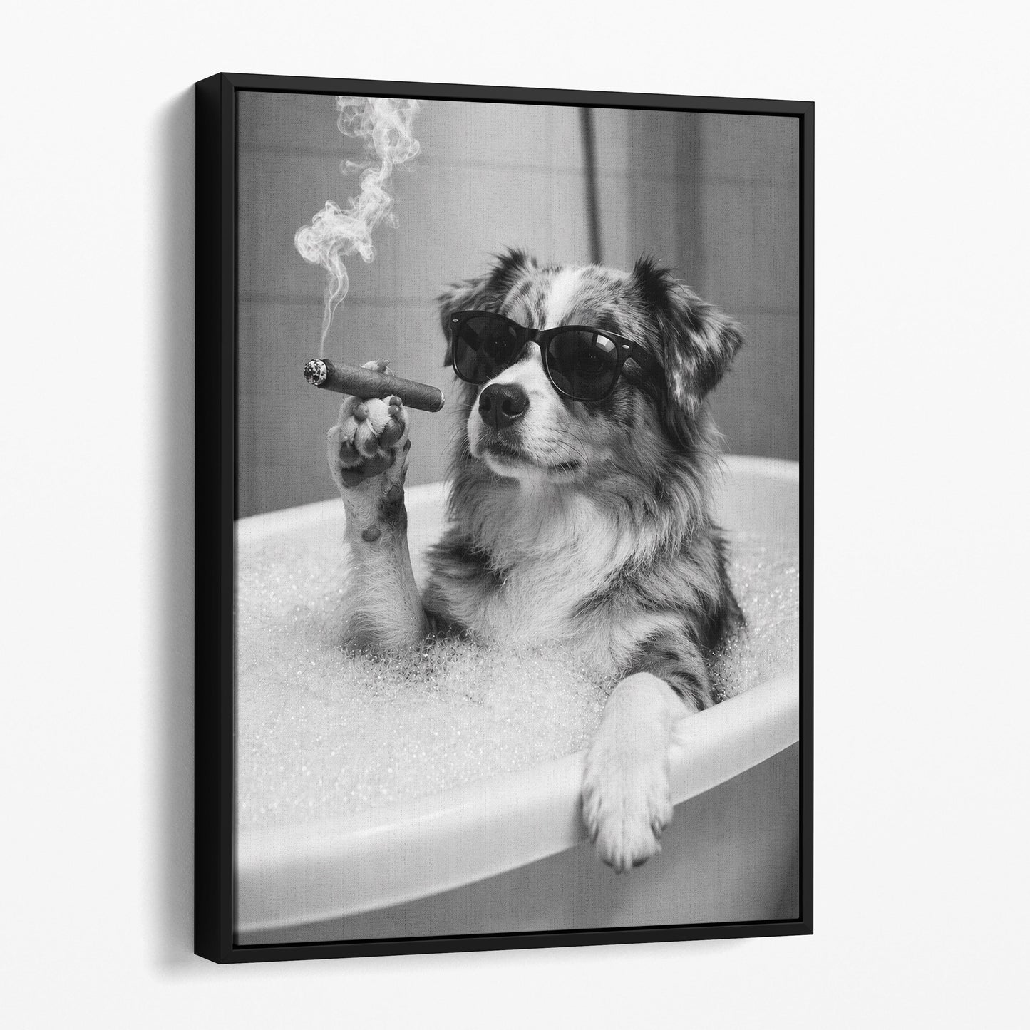 Miniature American Shepherd Dog Bathtub Cigar