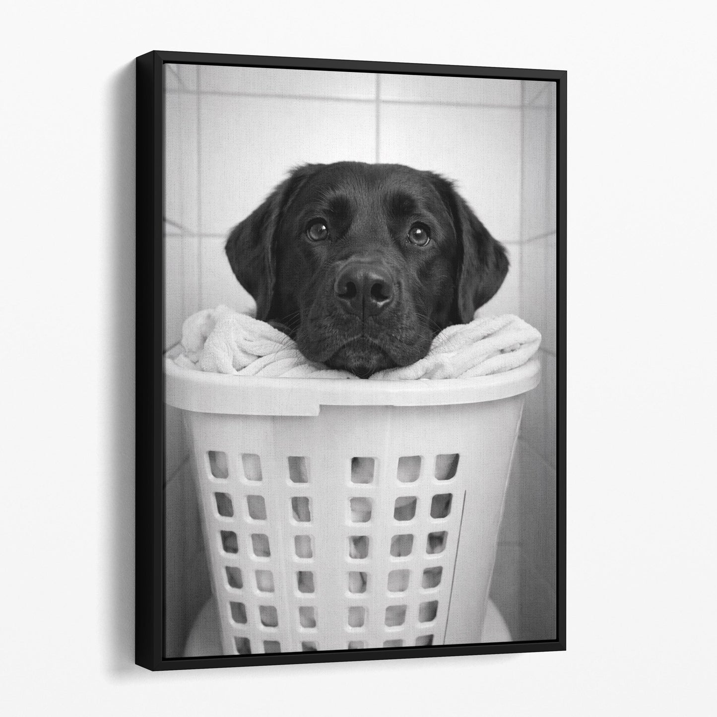 Black Labrador Dog Laundry