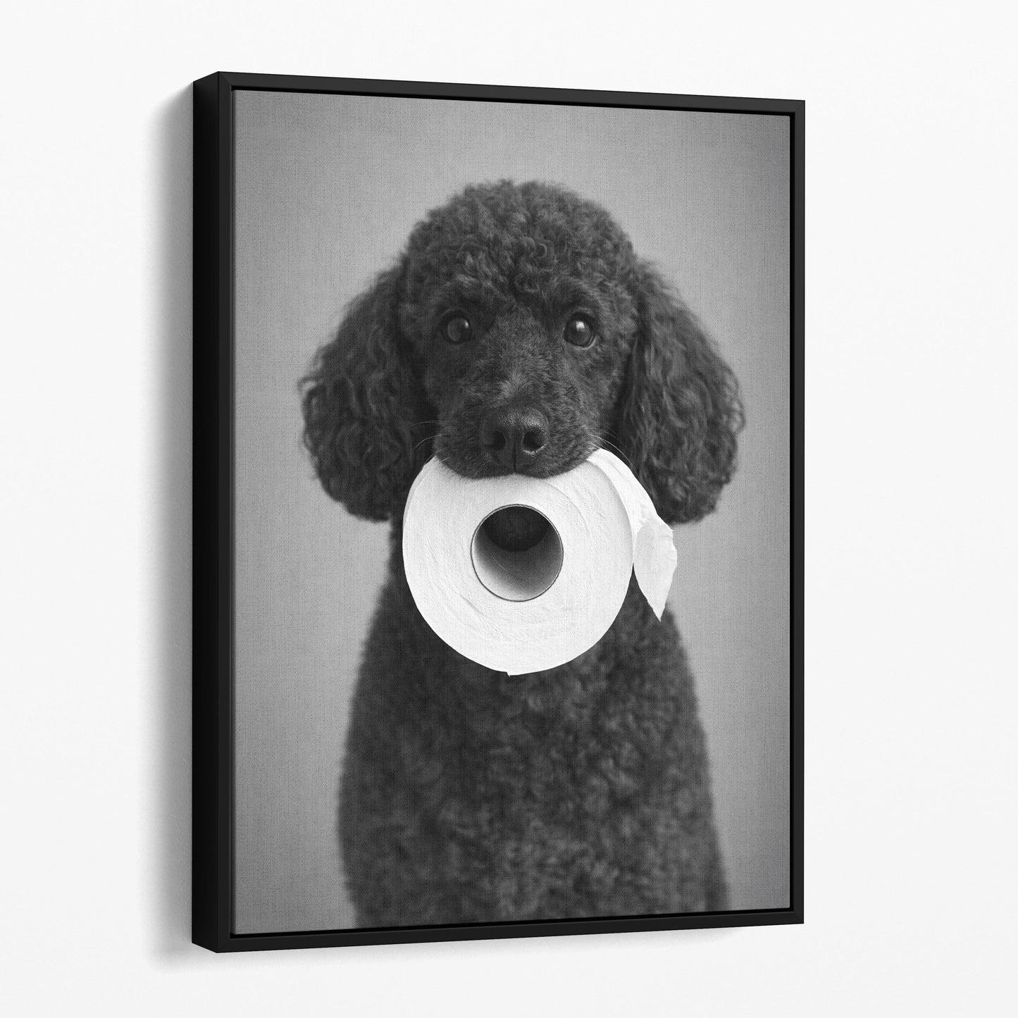 Poodle Dog Toilet Paper