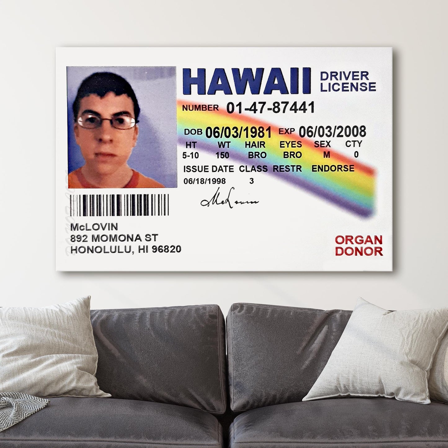 McLovin - Fogell Fake ID