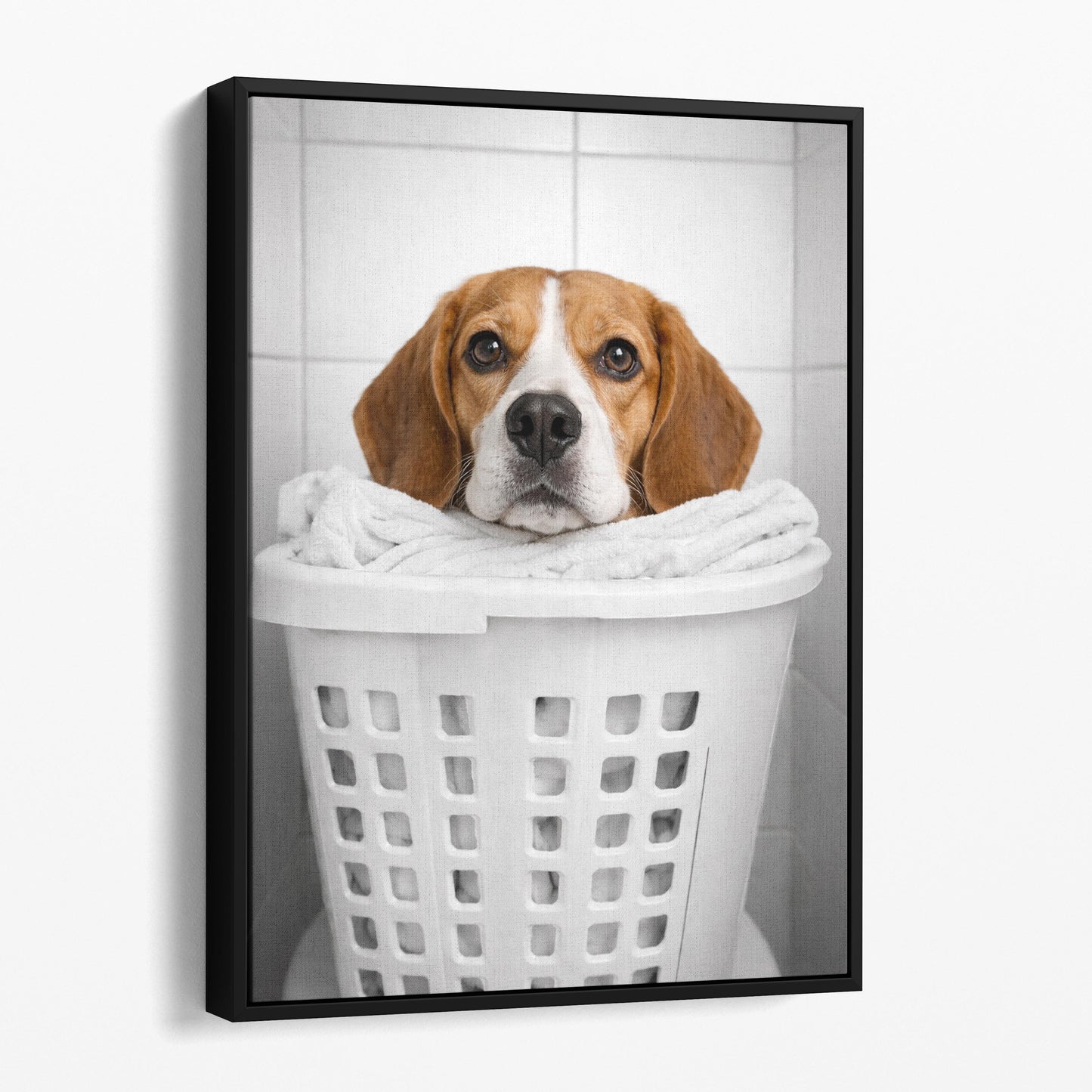 Beagle Dog Laundry