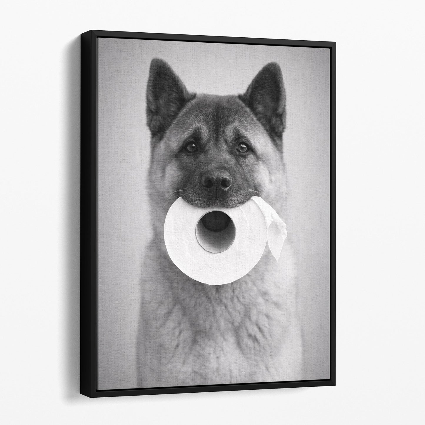 Akita Toilet Paper