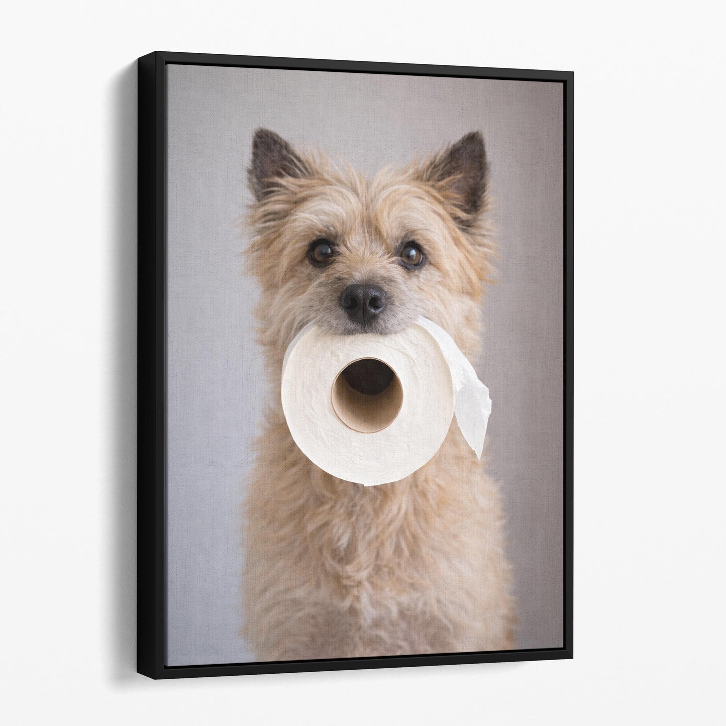 Cairn Terrier Dog Toilet Paper