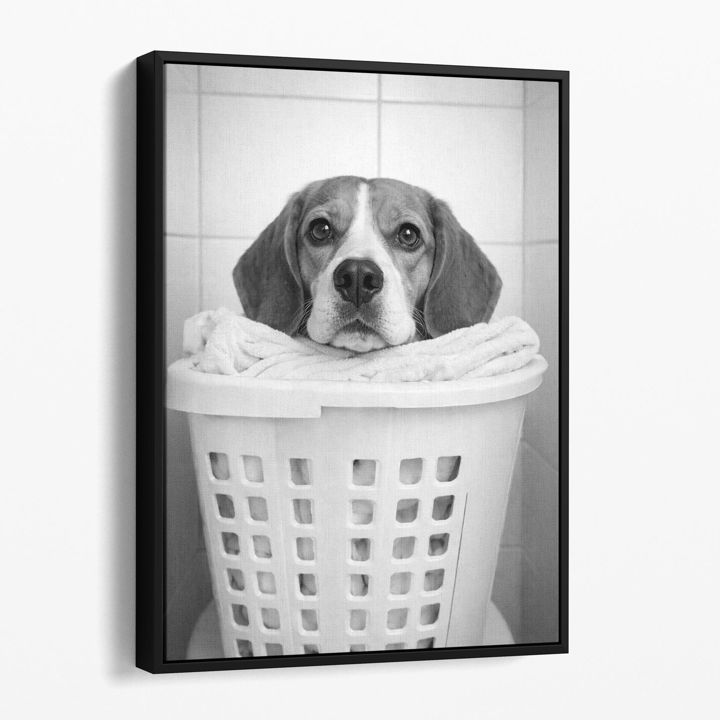 Beagle Dog Laundry