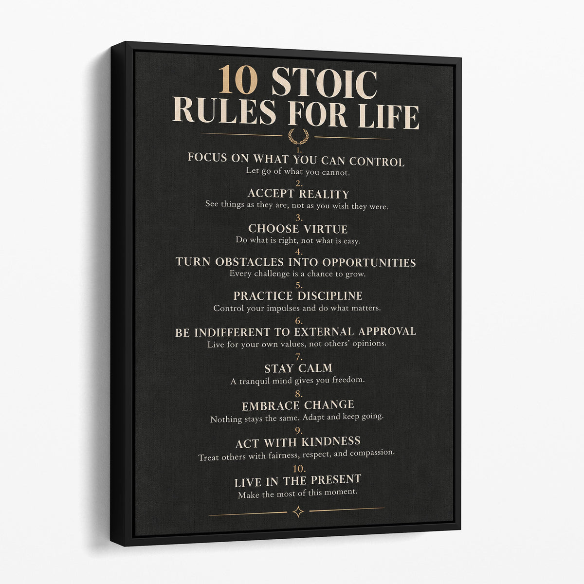 10 Stoic Rules For Life