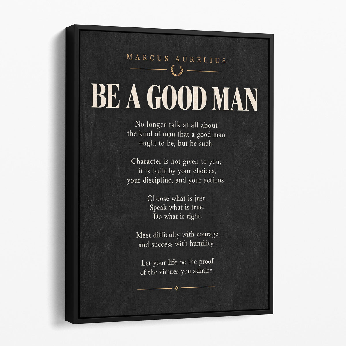 Be A Good Man - Marcus Aurelius