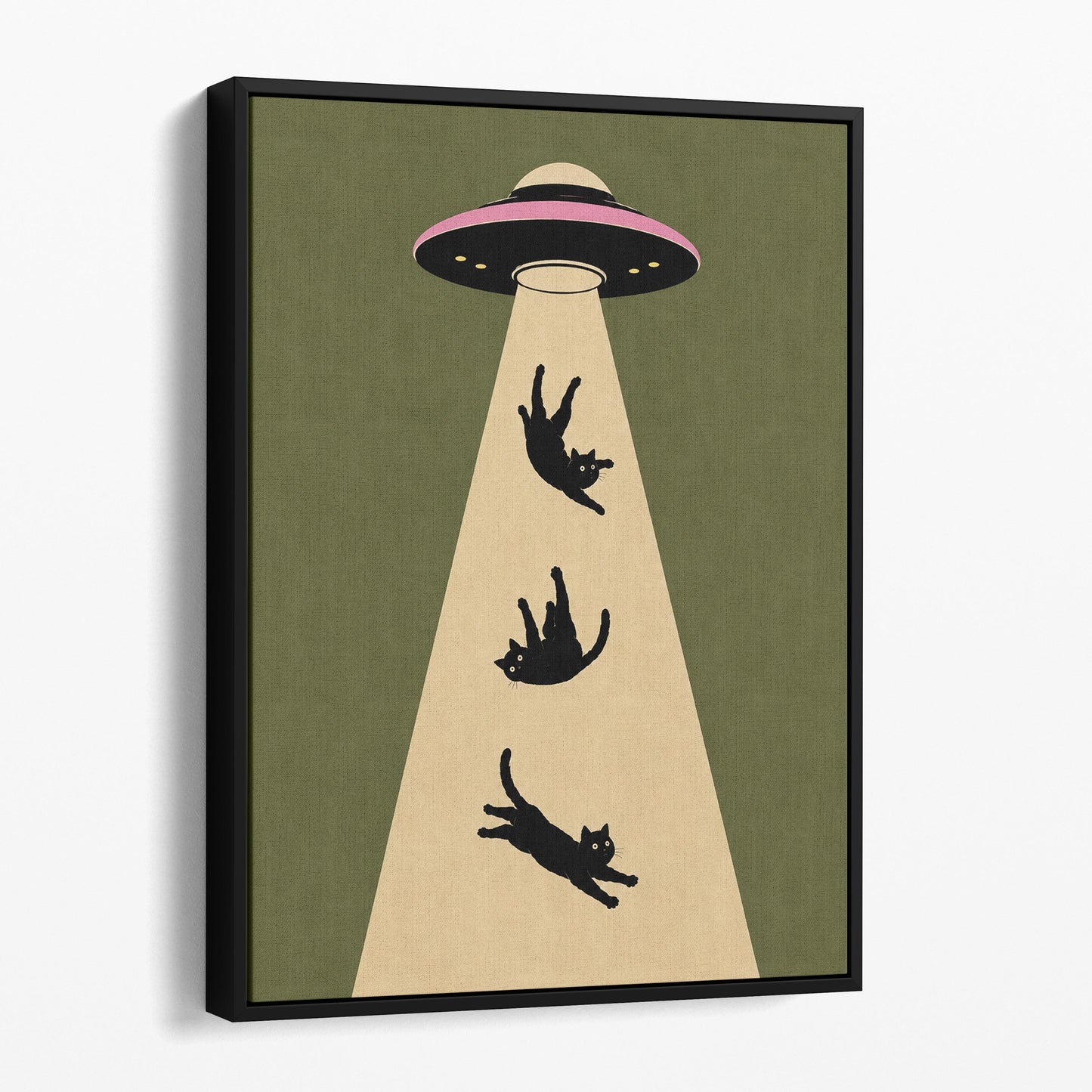 UFO Cat Abduction