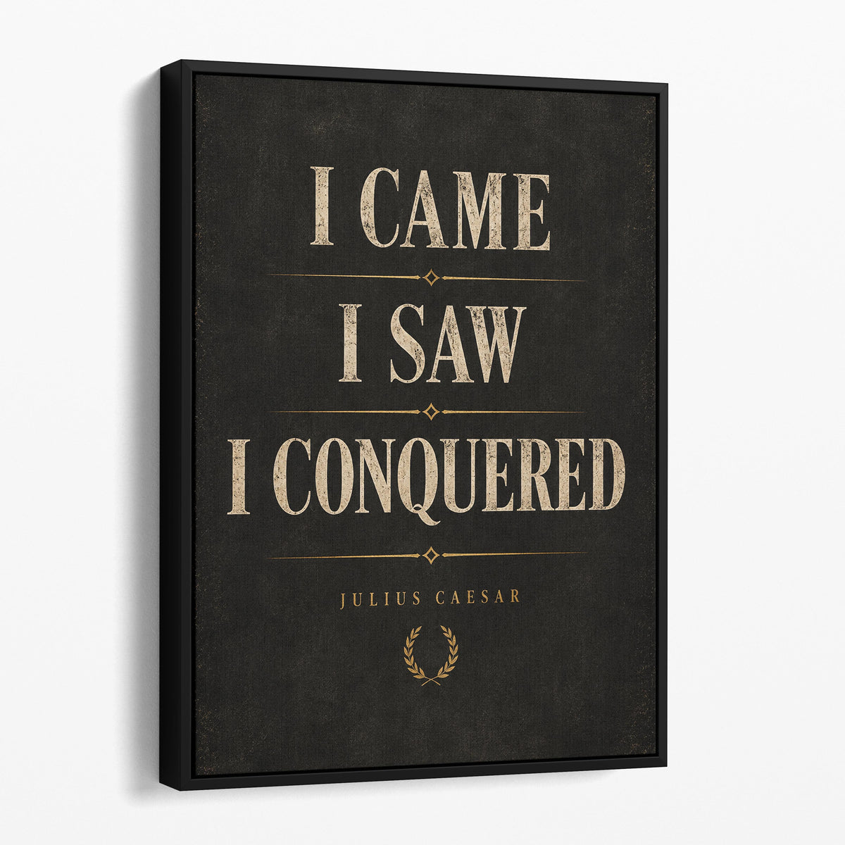 I Came I Saw I Conquered - Julius Caesar