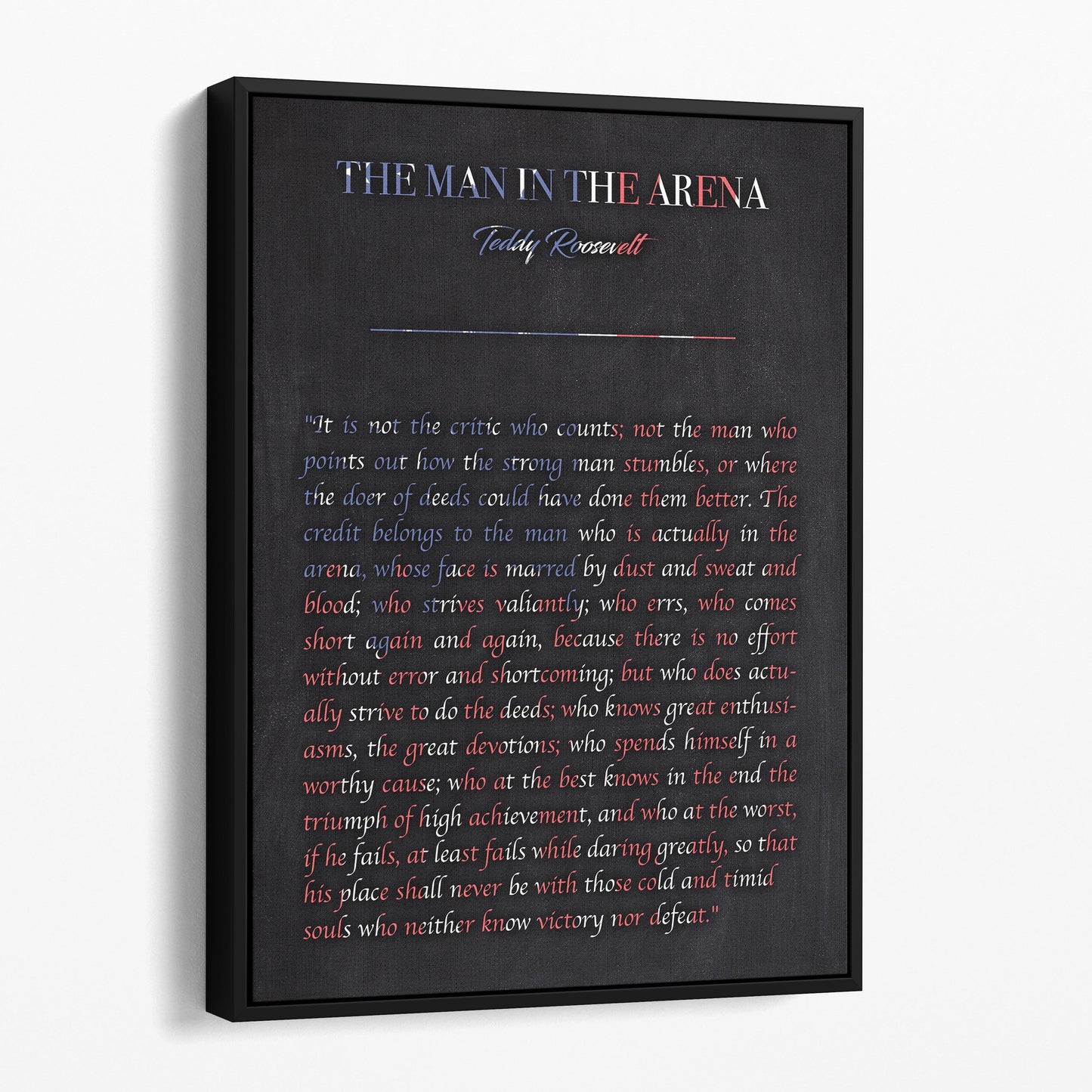 The Man In The Arena USA - Teddy Roosevelt