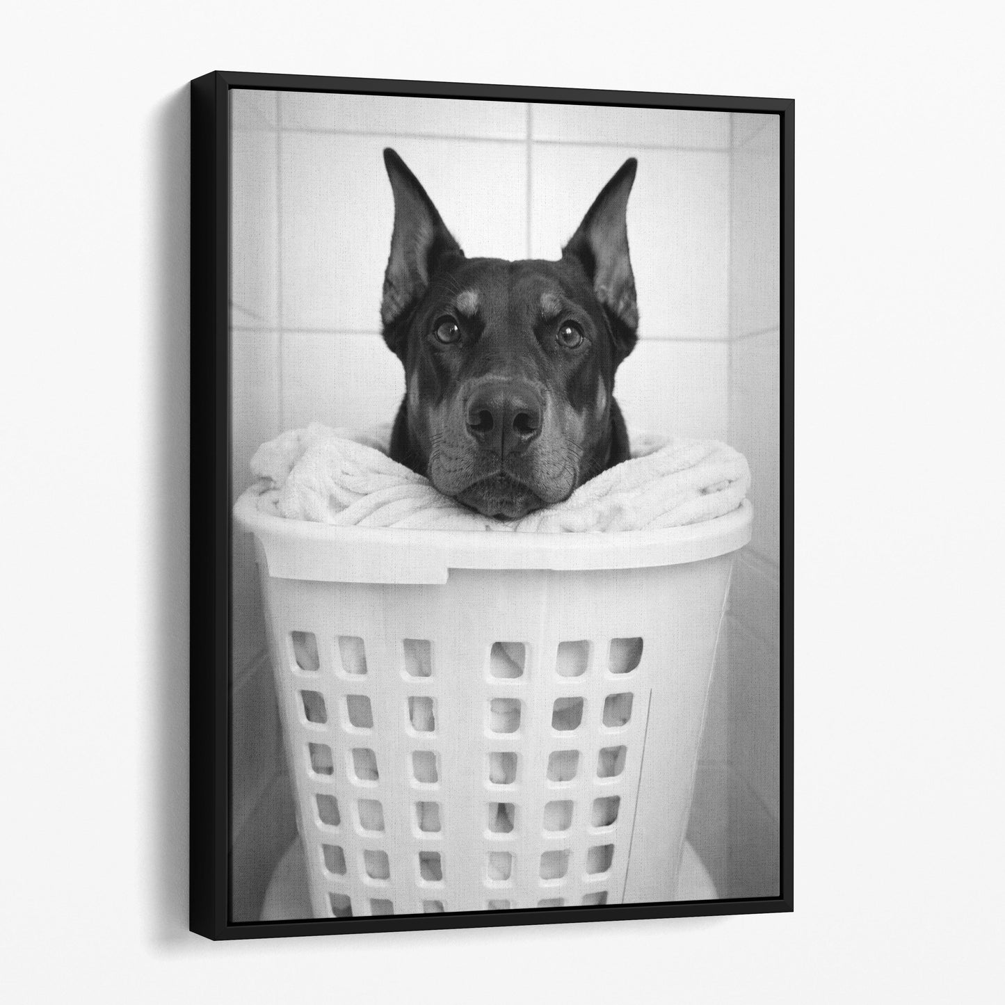 Doberman Pinscher Dog Laundry