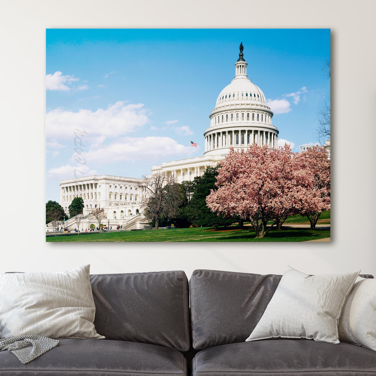 U.S. Capitol Building, Washington D.C.