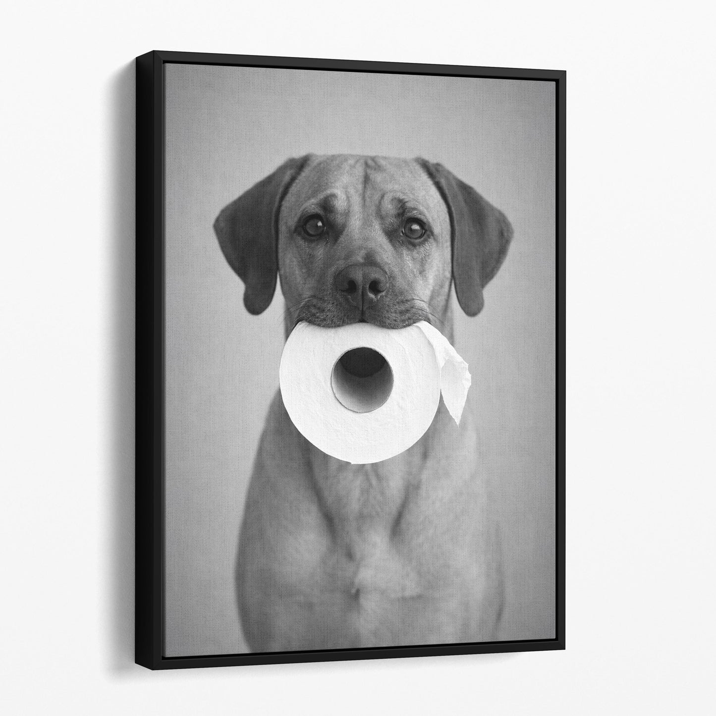 Rhodesian Ridgeback Dog Toilet Paper