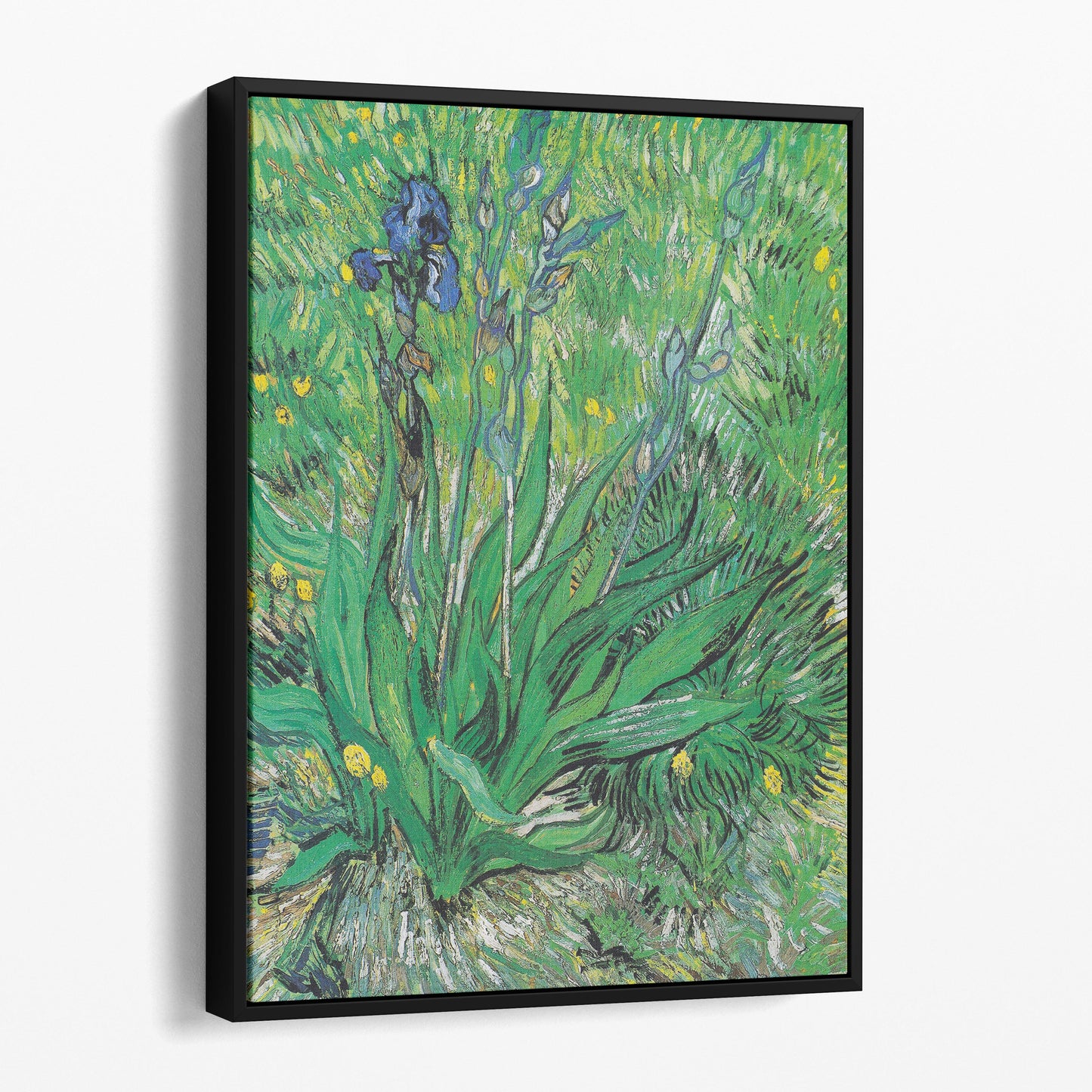 Iris 1889 - Van Gogh