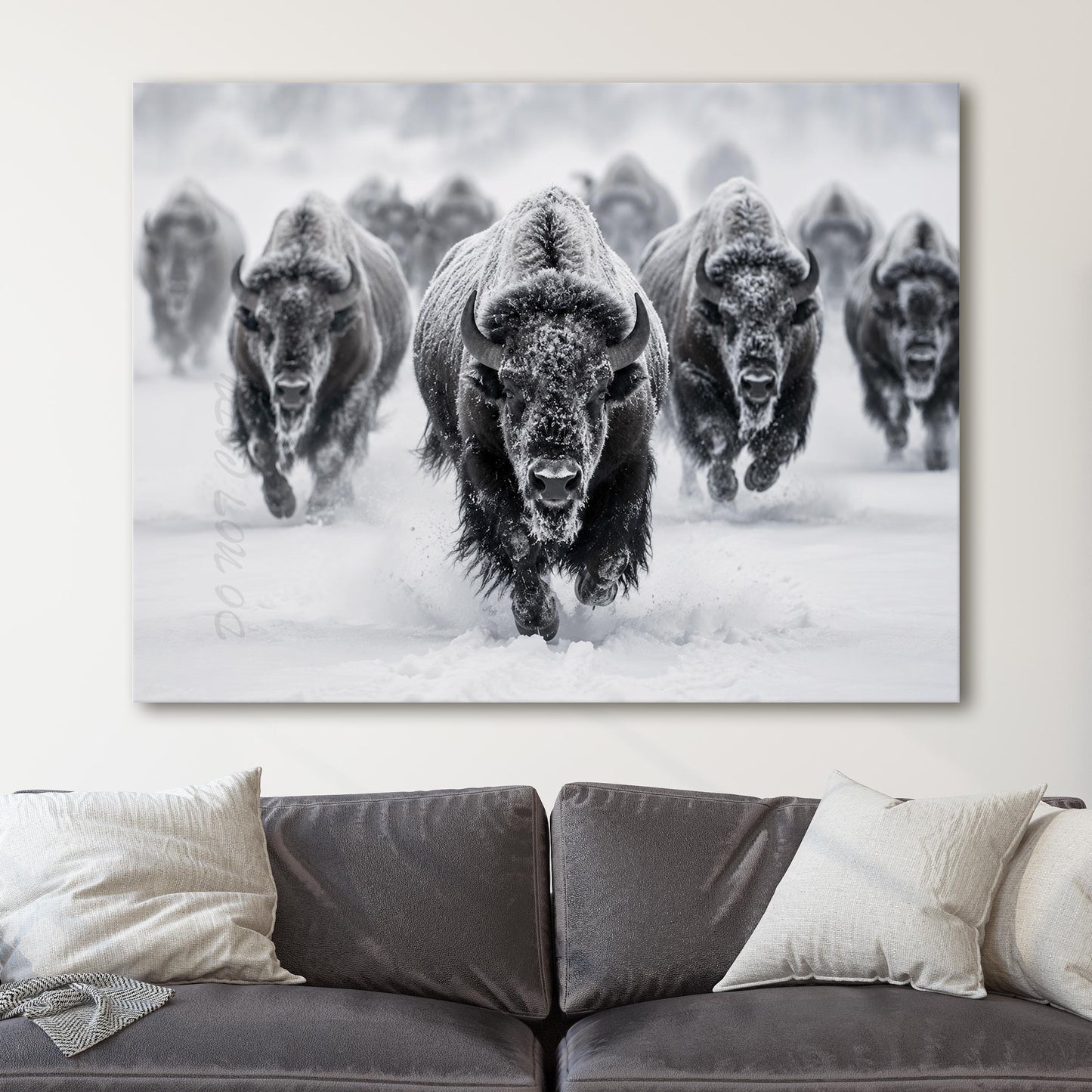Yellowstone Bison