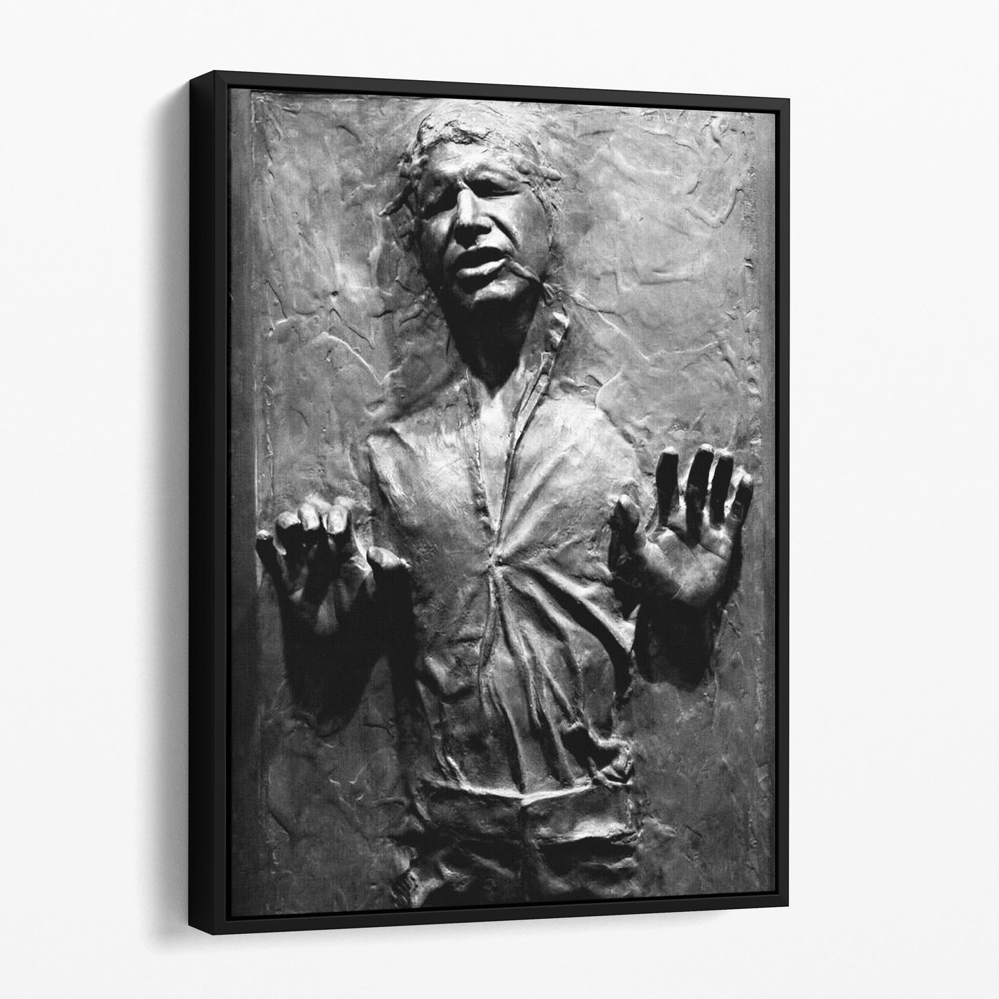 Han Solo In Carbonite