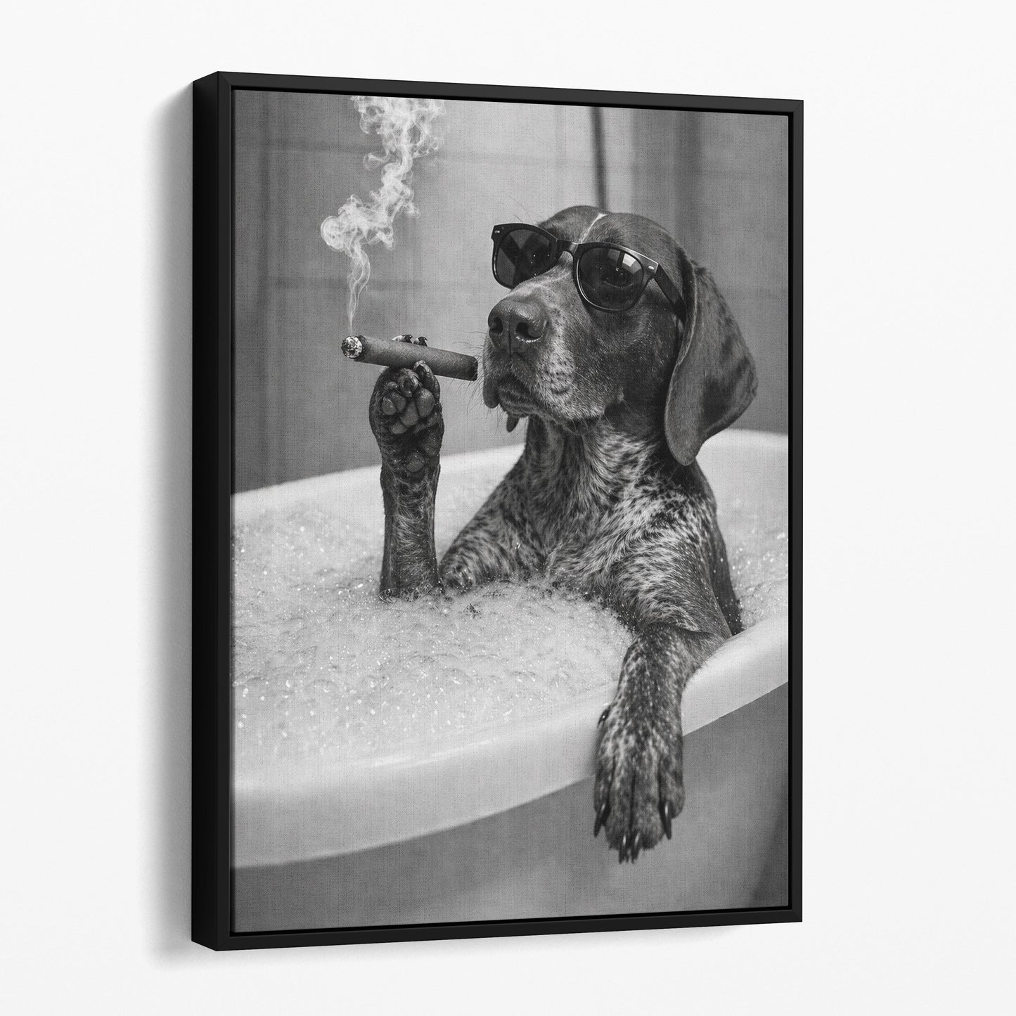 German Shorthaired Pointer Dog Bathtub Cigar