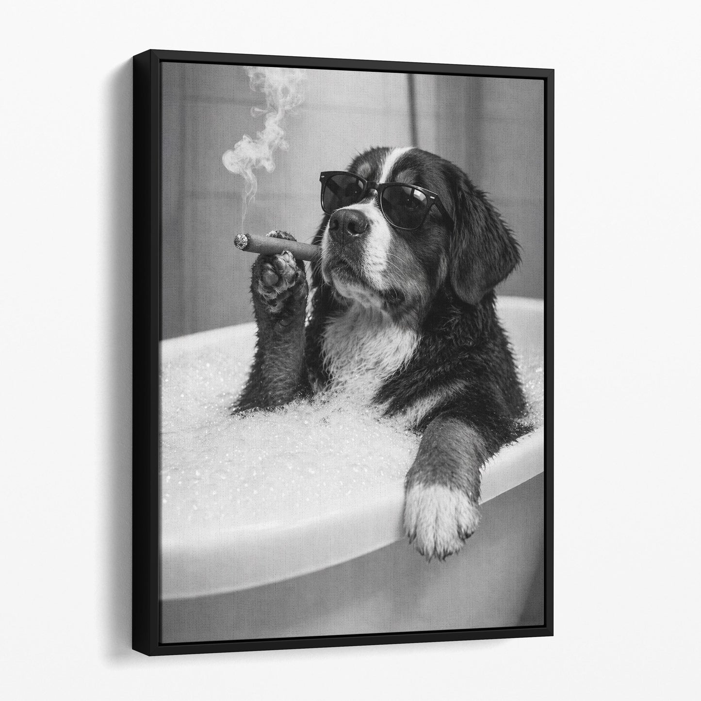 Bernese Mountain Dog Bathtub Cigar