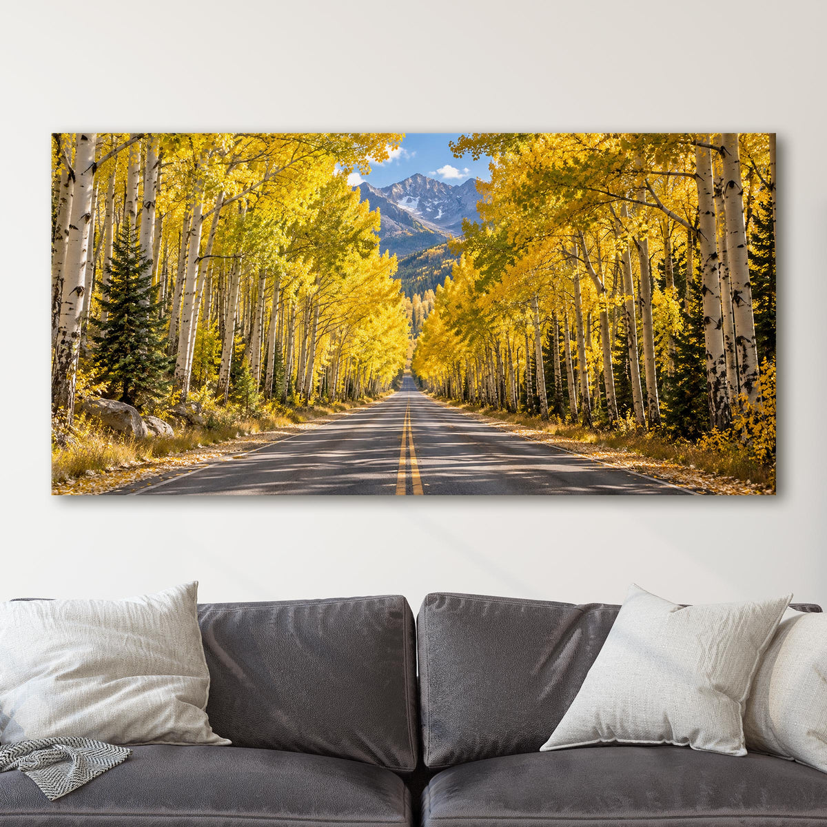 Colorado - Aspen Tunnel