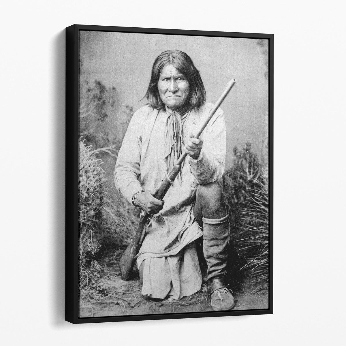 Geronimo, 1887