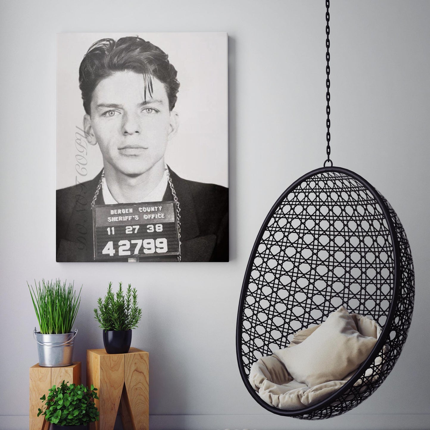 Frank Sinatra Prison Mug Shot