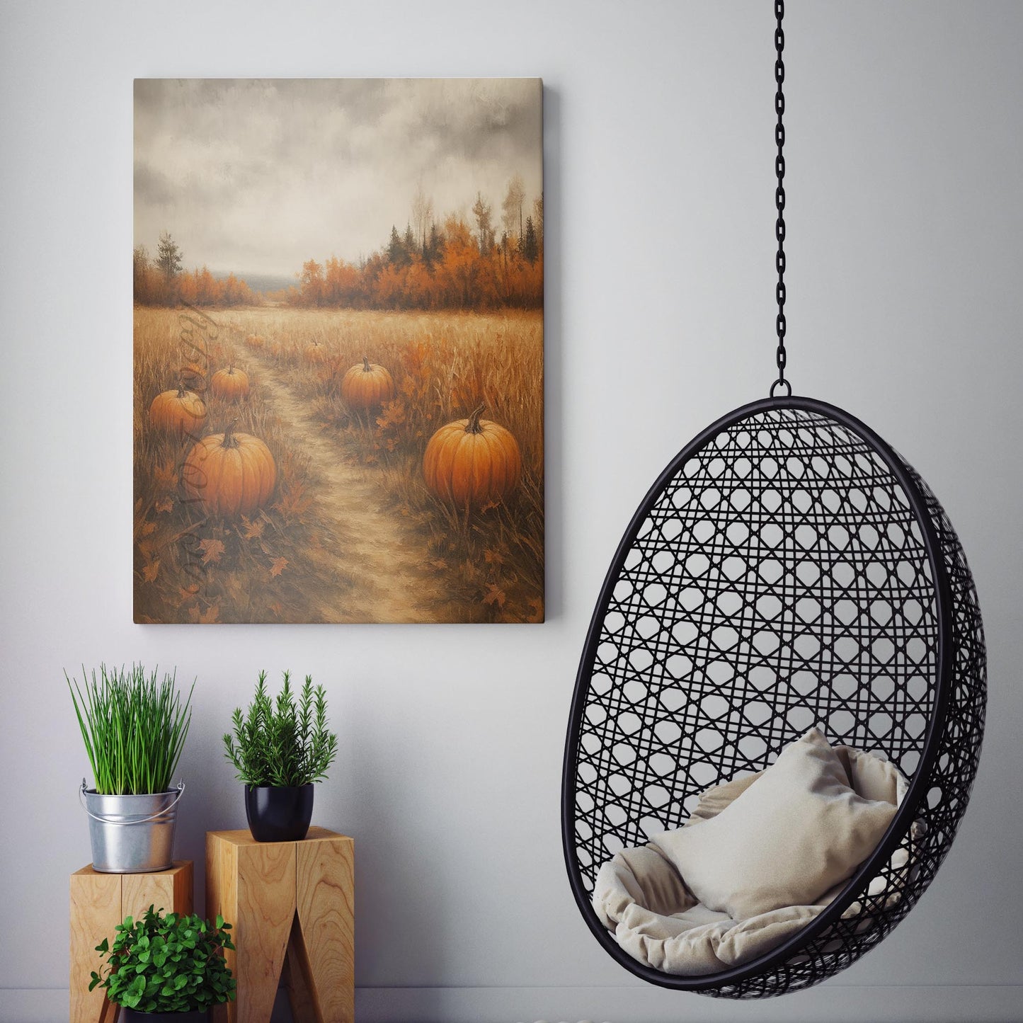 Pumpkin Patch In Autumn Field