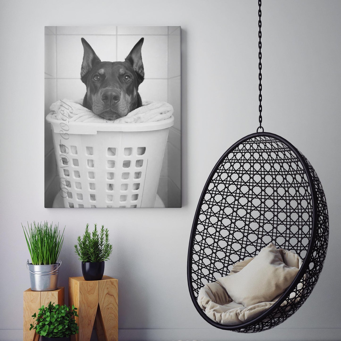 Doberman Pinscher Dog Laundry