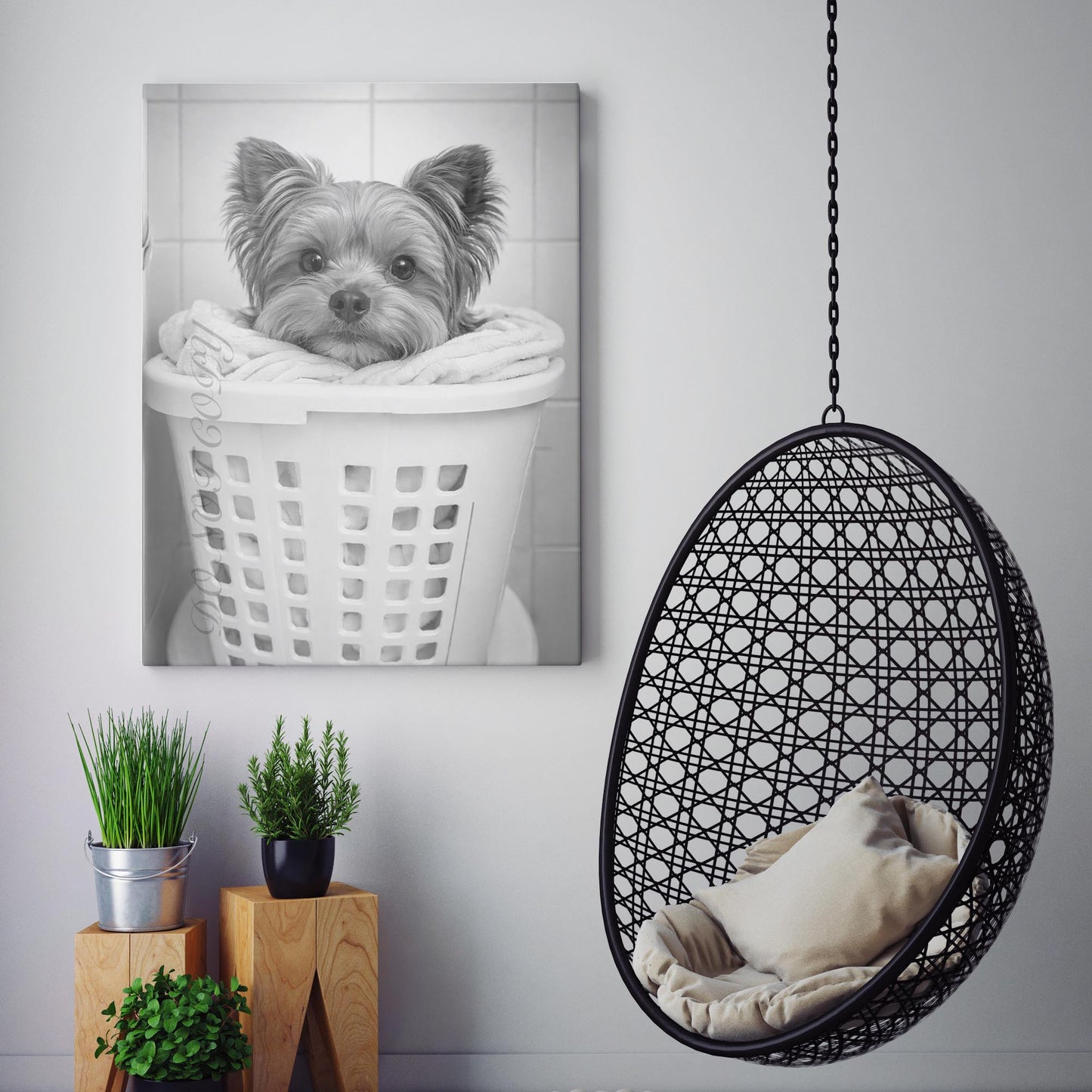 Yorkshire Terrier Dog Laundry