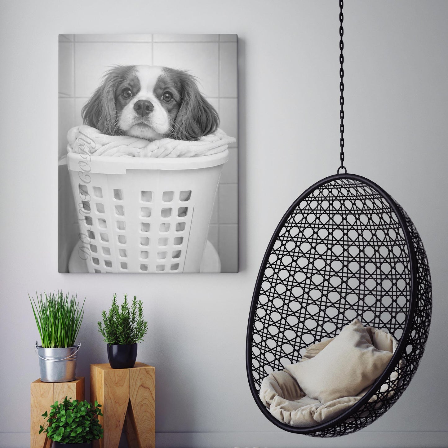 Cavalier King Charles Spaniel Dog Laundry