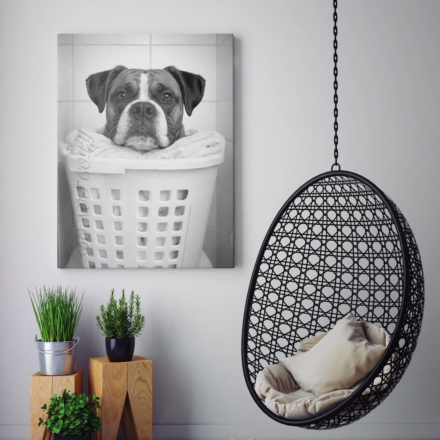 Boxer Dog Laundry