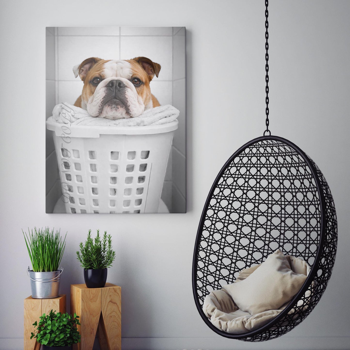 Bulldog Laundry
