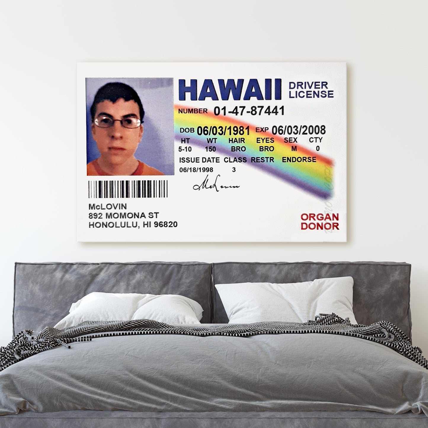 McLovin - Fogell Fake ID