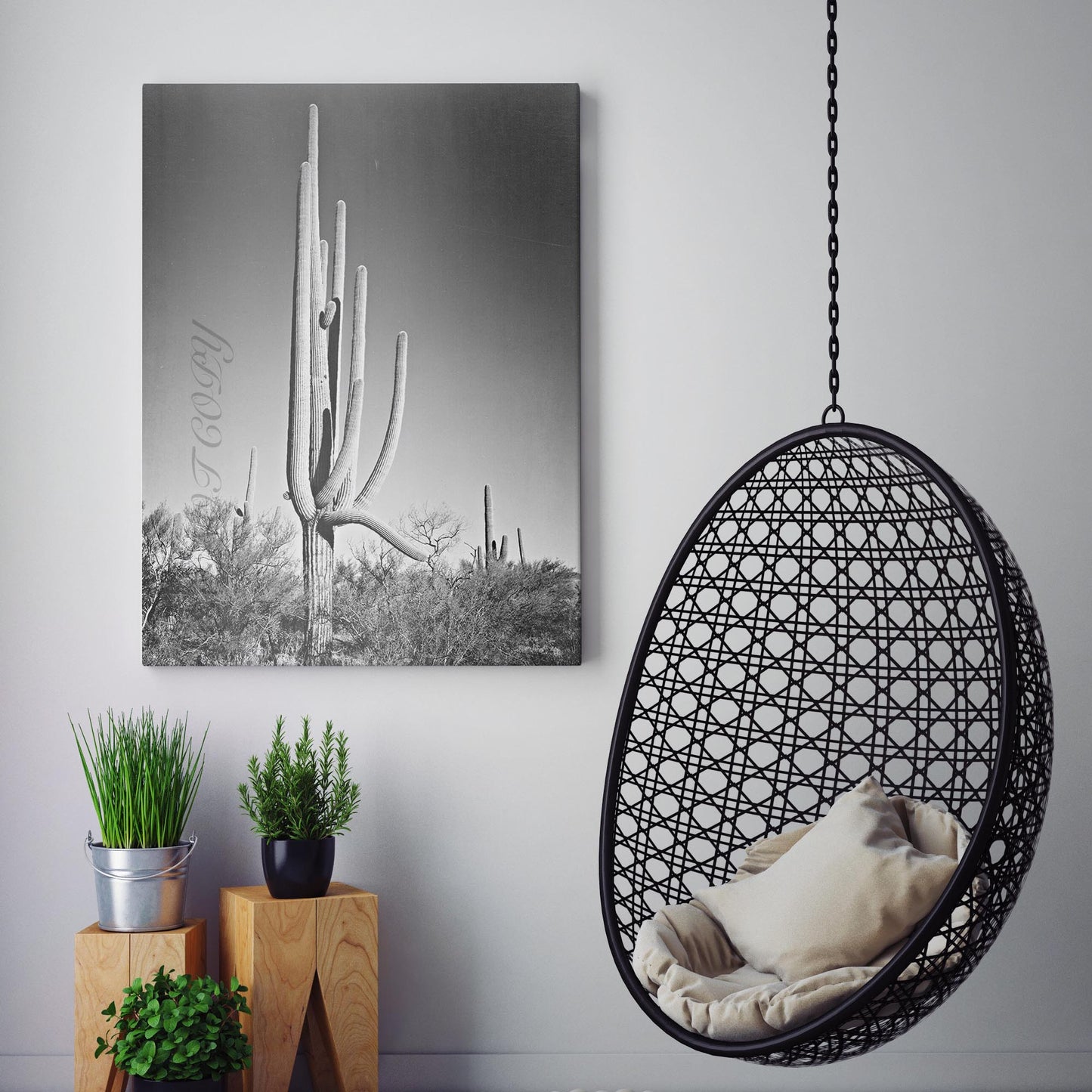 Cactus in Saguaro National Monument, Arizona Ansel Adams