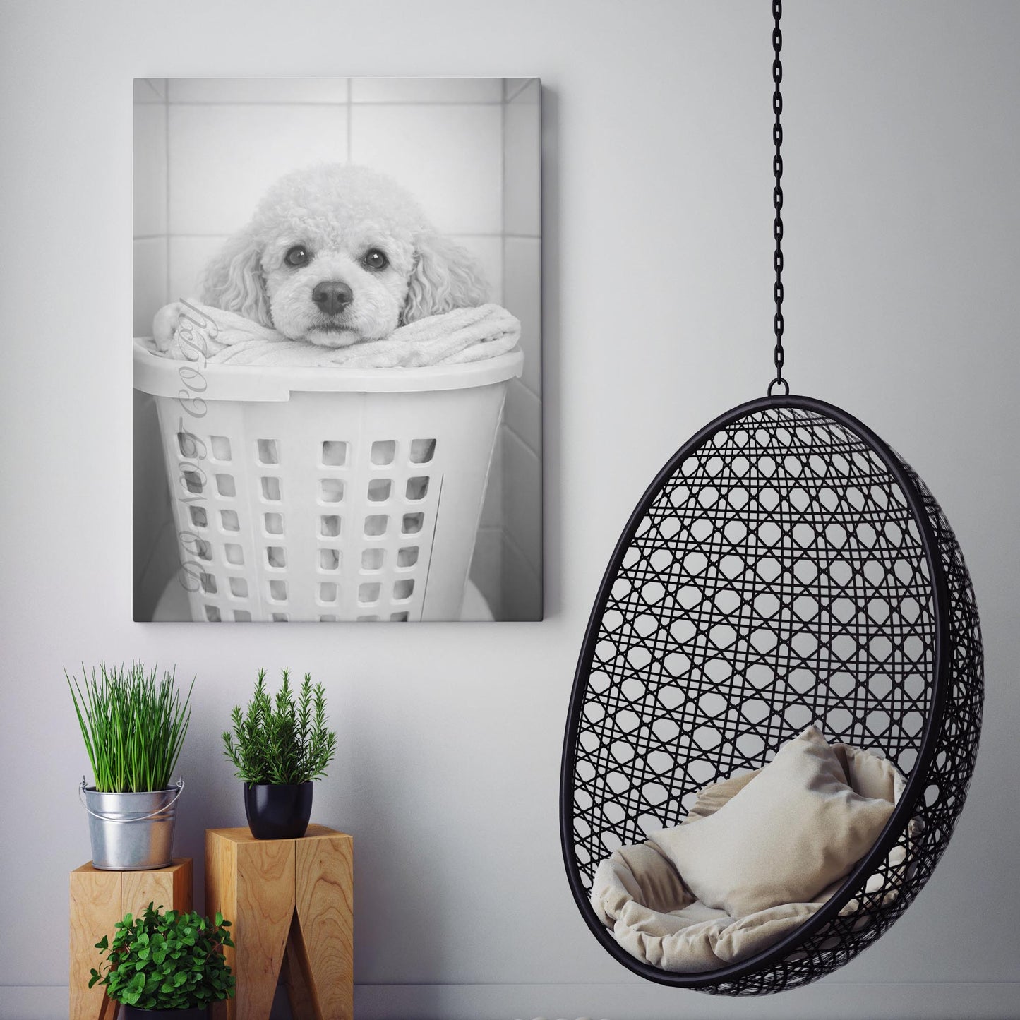 Poodle Dog Laundry