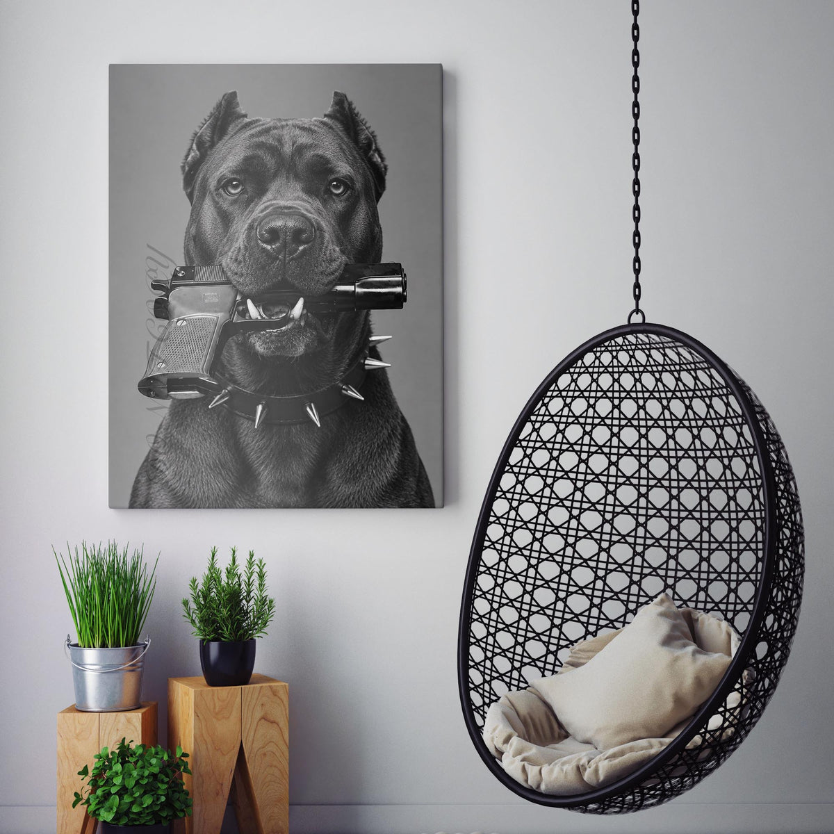 Cane Corso Gun In Mouth