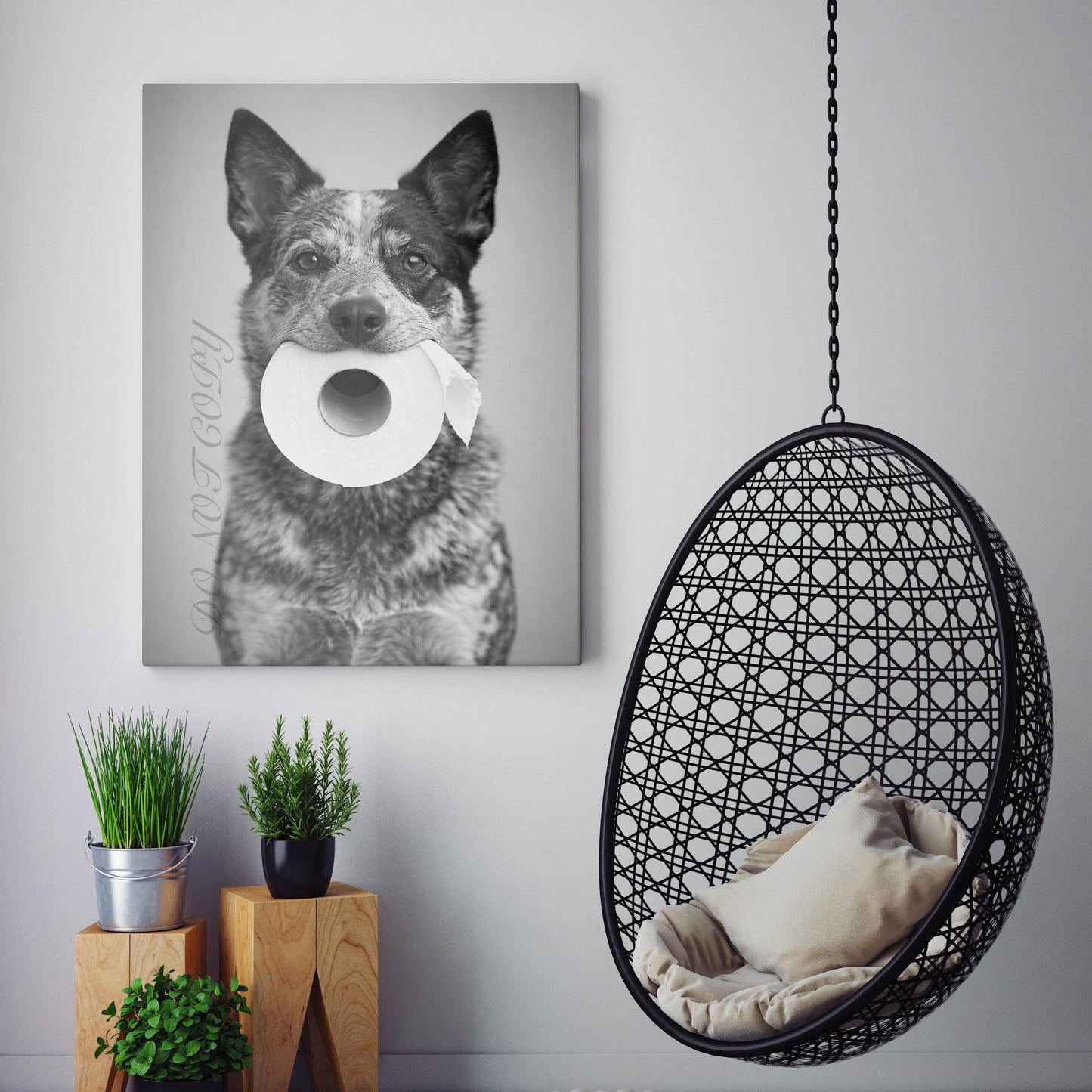 Australian Cattle Dog Toilet Paper