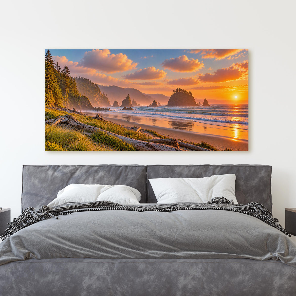 Olympic National Park, Washington Coast