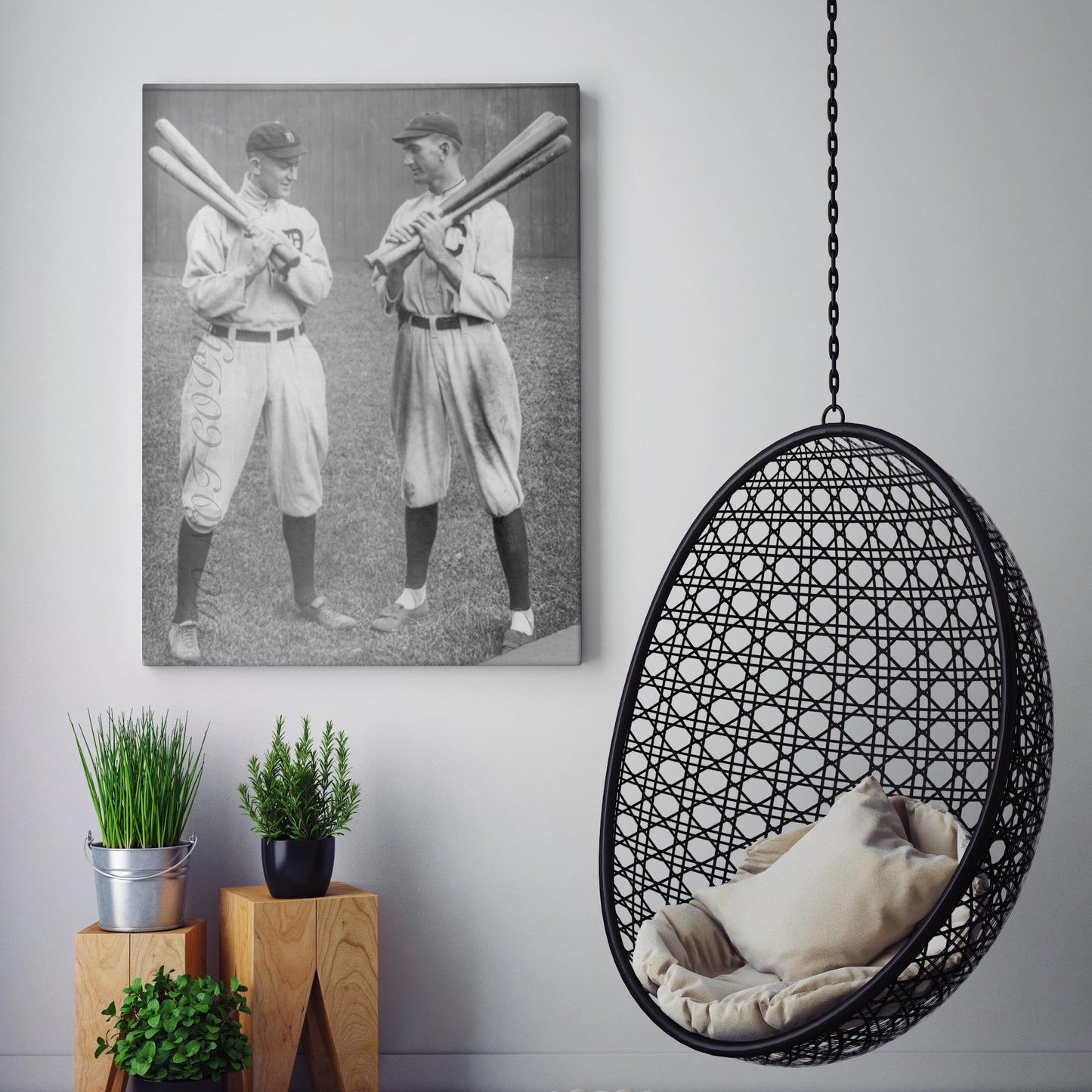 Ty Cobb & Shoeless Joe Jackson