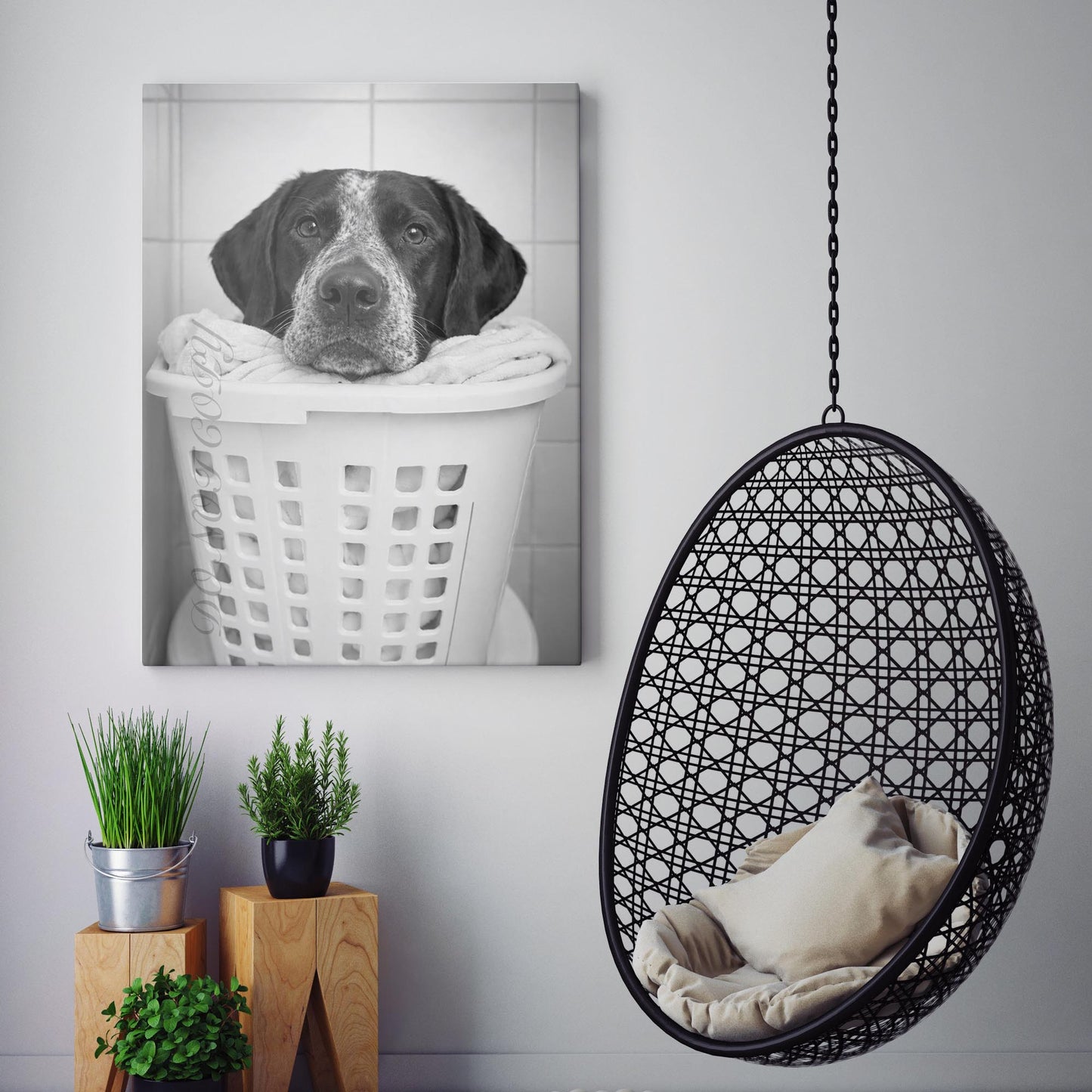 German Shorthaired Pointer Dog Laundry