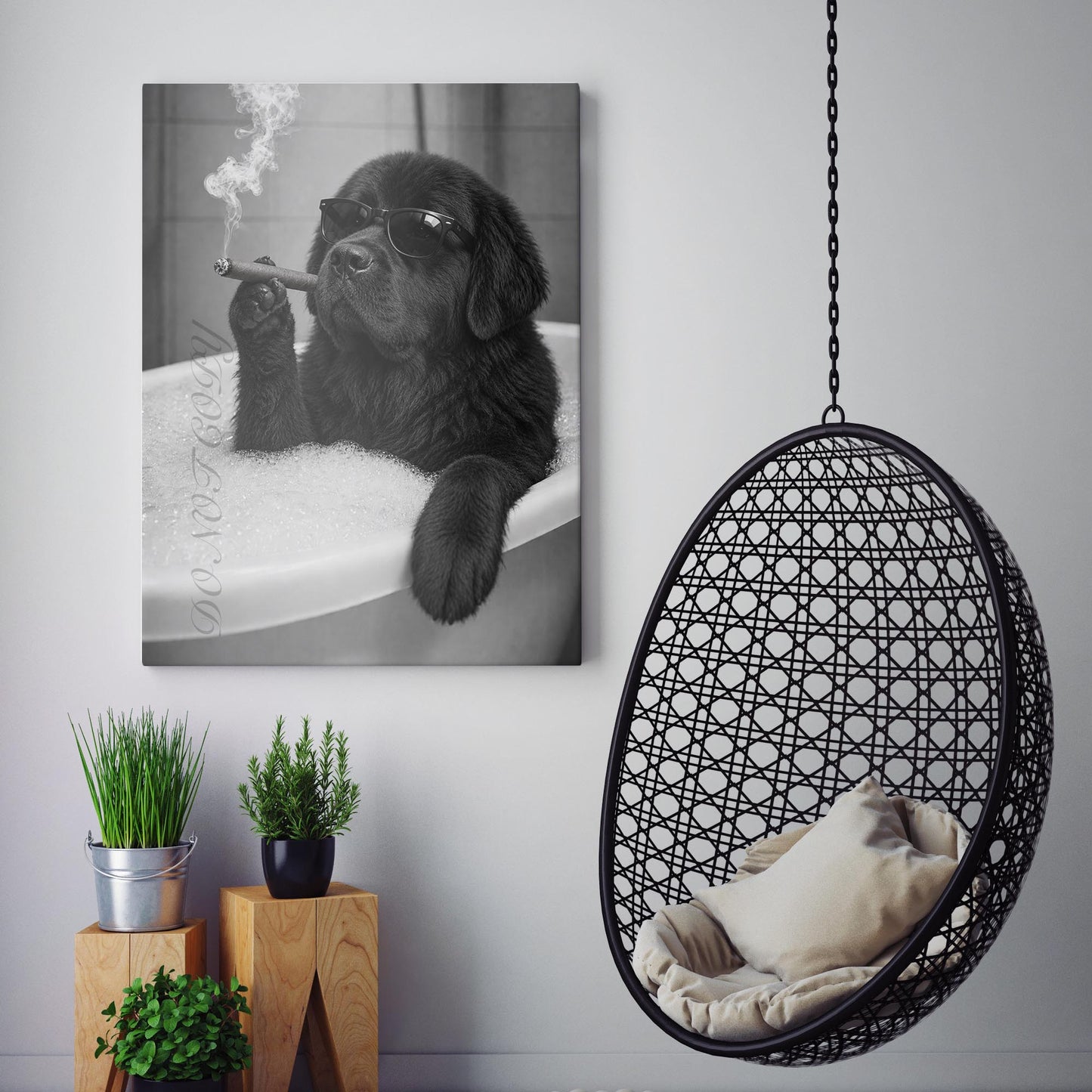 Newfoundland Dog Bathtub Cigar